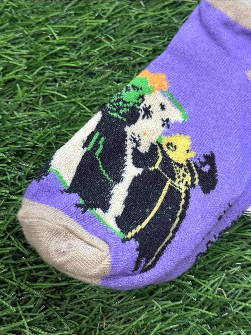 Disney Hocus Pocus Socks